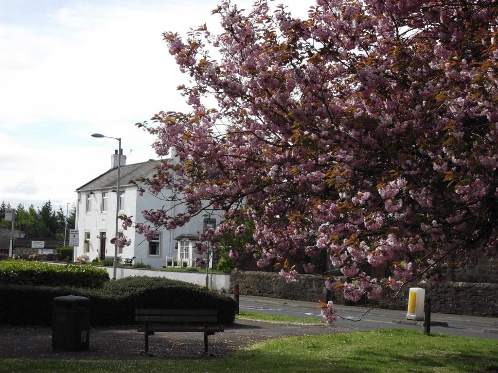 Kirkcroft Guest House Gretna Exterior foto